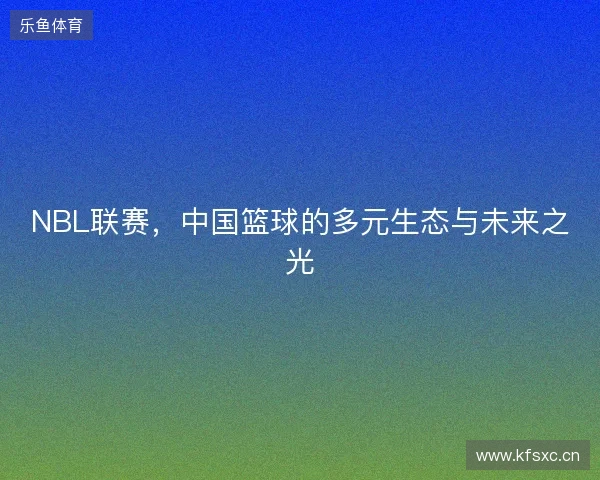 NBL联赛，中国篮球的多元生态与未来之光